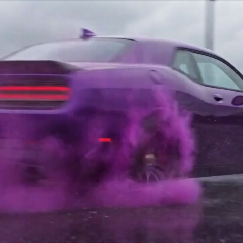 Muscle Car Gender Reveal Videos | Fasul Studio