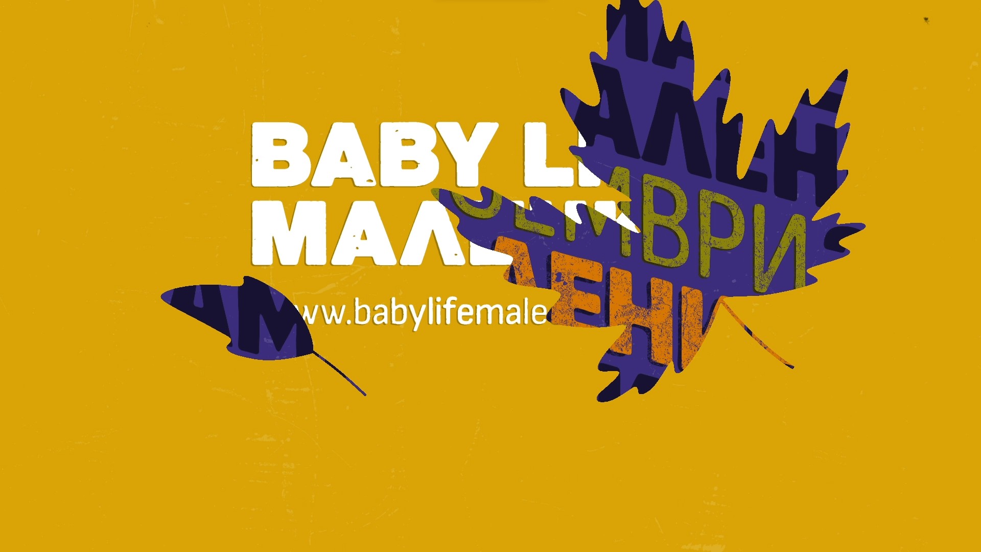 Branded motion design example for a promo campaign